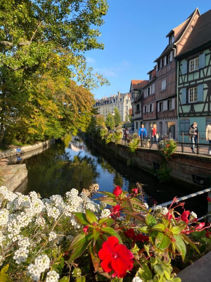 Alsace Clim Pres Colmar Jardin Balcon Parking Garage Velos, Motos Oberhergheim Exteriör bild